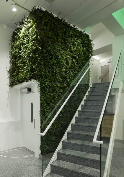 瑞典办公区的室内绿植给工作一个绿色心情