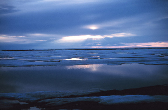 北极波弗特海上融化的冰.(自美国国家海洋和大气管理局)