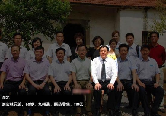 湖北刘宝林兄弟 60岁九州通医药零售 110亿人民币   女性,港澳台及