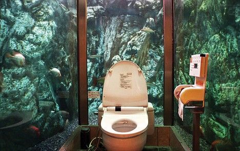 世界上最牛的厕所图片
