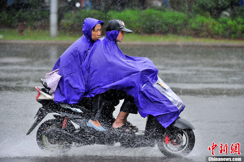 海口市民冒风雨出行.