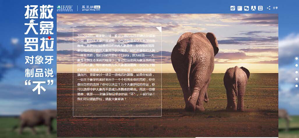 拯救大象罗拉