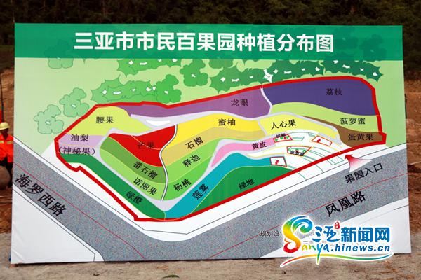 三亚"双修"启动还绿于民 地产项目"变身"市民果园