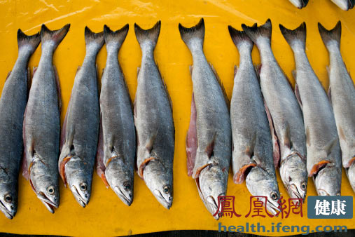 警惕这7种鱼不能给孩子吃图
