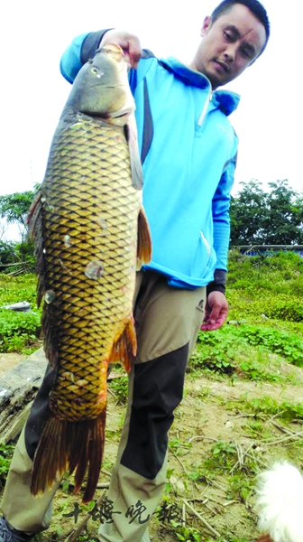 男子在丹江口水库钓起22斤大鲤鱼 耗时20分钟拖上岸