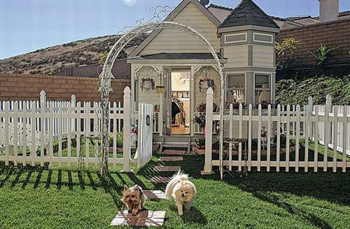 富人爱犬好过穷人 世上十大最不可思议的狗窝