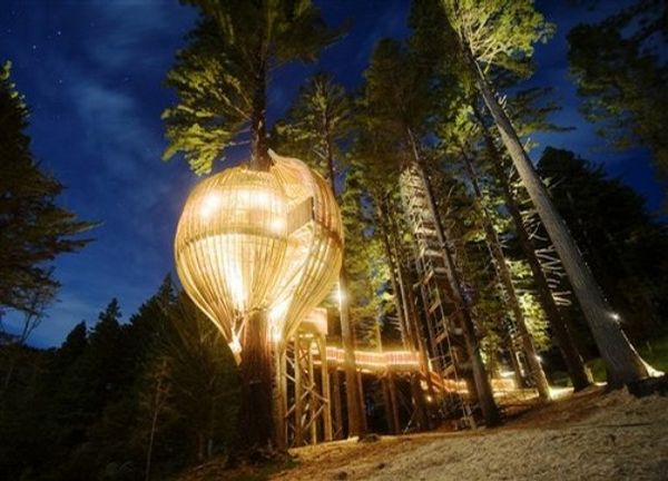 爬到40米高的树上吃饭 新西兰树上餐厅外形似蚕茧