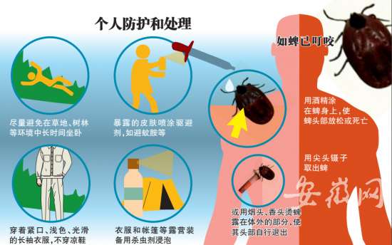 六安一老太到桃园摘桃子后连烧数日去世 被蜱虫叮咬