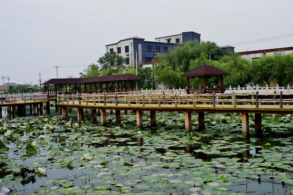 前洲西塘村图片