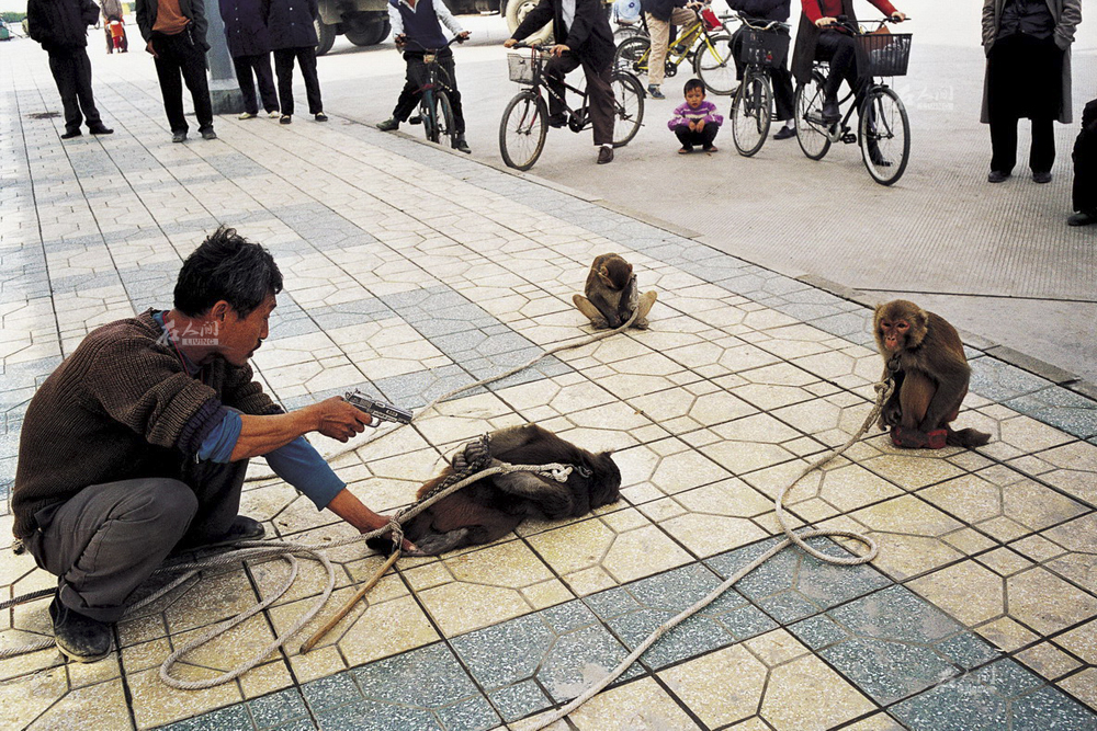 11月3日,成都清江路,找到一片没有警察和城管的区域,杨林贵摆开场子