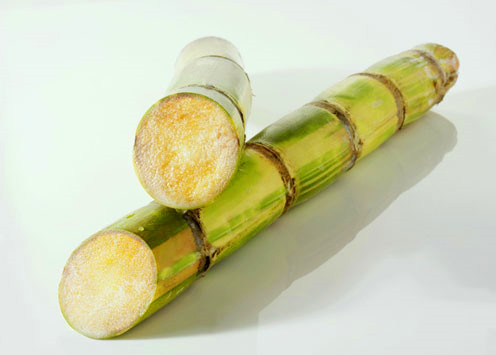 导语:甘蔗有着"天然复脉汤","脾果"等美誉.