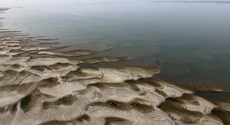 孟加拉国贾木纳河干涸严重 河岸似沙漠
