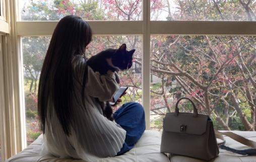 郭碧婷抱猫咪赏樱长发及腰背影很唯美图