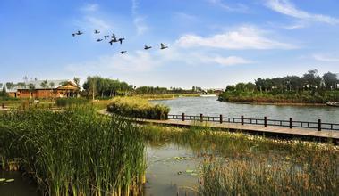 告诉你一个春天踏青好去处,一天玩转生态城