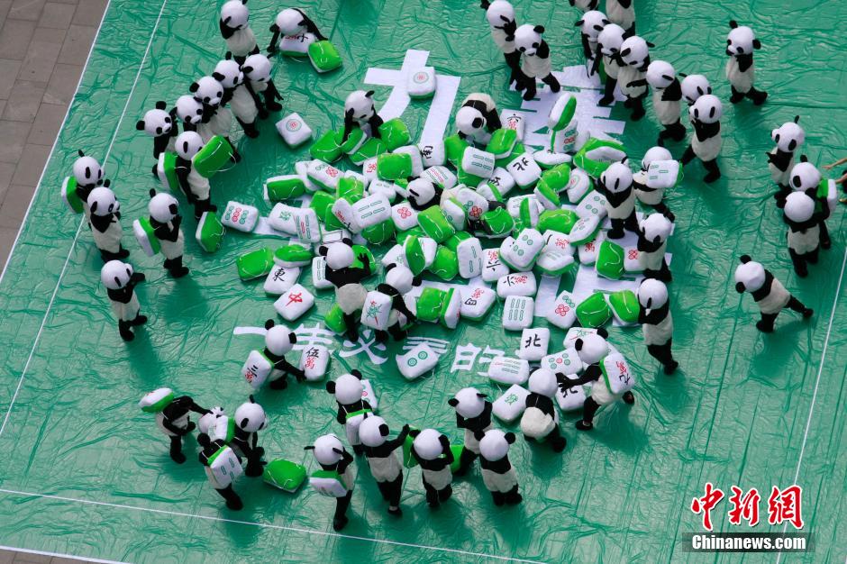 藏族羌族自治州,九寨千古情景区举行了一场别开生面的"大熊猫麻将赛"