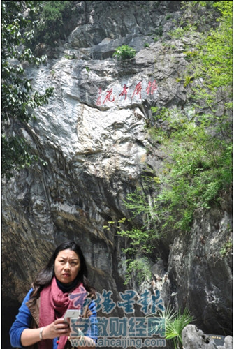 懸崖峭壁生牡丹 巢湖千年野牡丹花開12朵