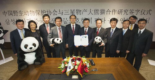 大熊猫将引进韩国 入住三星爱宝乐园