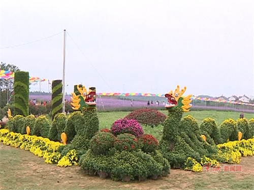 广德和合云花谷开园迎客薰衣草美不胜收