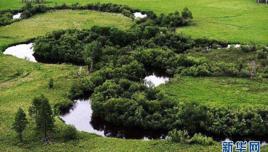 中国干湿地区的植被图片