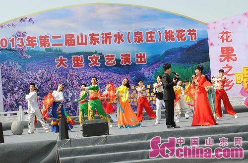 沂水泉庄桃花节开幕乡村旅游同启动