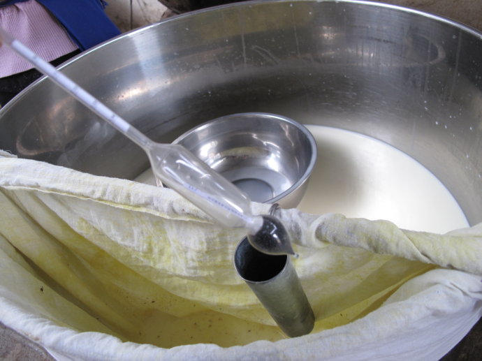 双廊美食:乳扇是怎么做成的