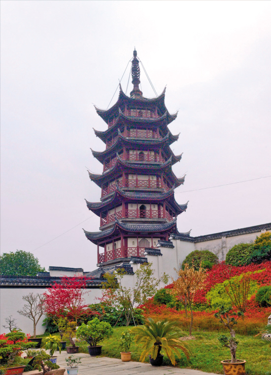 海宁坐看潮起品味书香