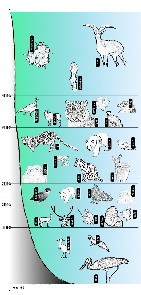 平原奇观全球海拔落差最猛