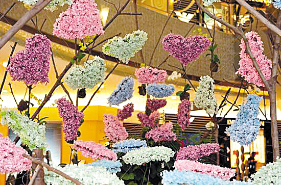 春末夏初,广州丽柏广场与国际著名花艺大师水上雅夫先生及香港著名