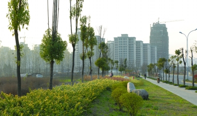 顶山街道新貌.