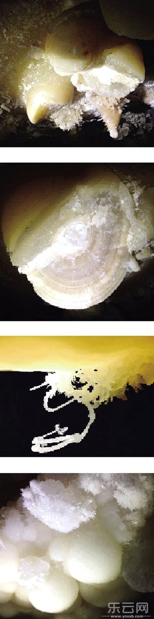 安宁采石场炸出溶洞大量钟乳石遭"抢挖"