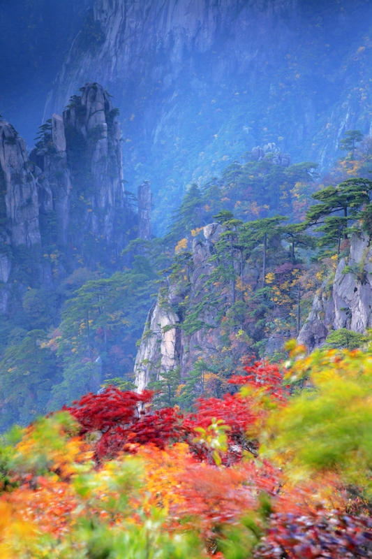 黄山一年四季的景色图片