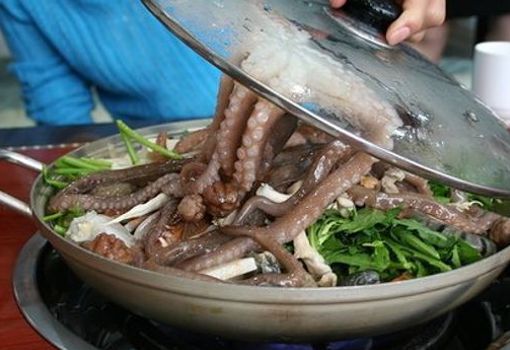 韩国人喜欢生吞活章鱼吓退不少外国观光客图