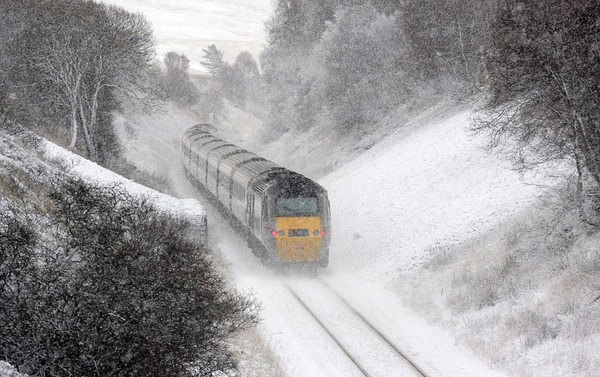 英国迎今冬初雪部分地区银装素裹高清组图