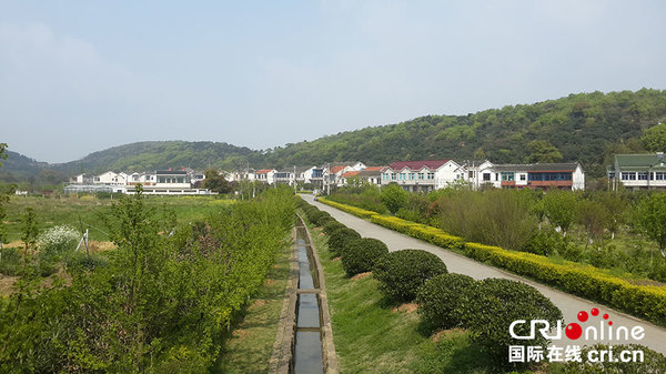 无锡美丽乡村纪行二和平村期待花乡花海和花街高清组图