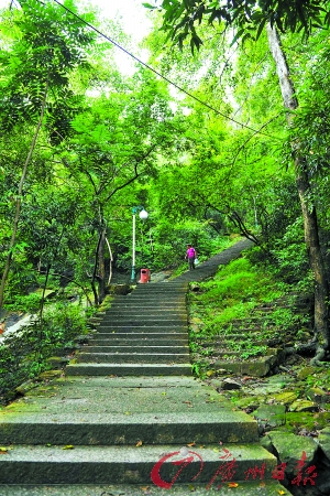 徒步登山 原野風光