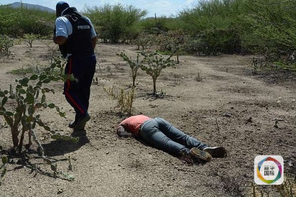 墨西哥毒贩杀女图片