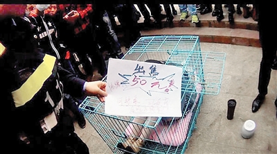 这是行为艺术吗听专业人士怎么说