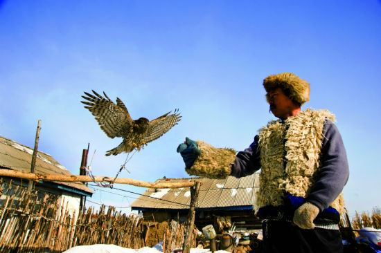 吉林鹰屯:寻访神秘的满族猎鹰人