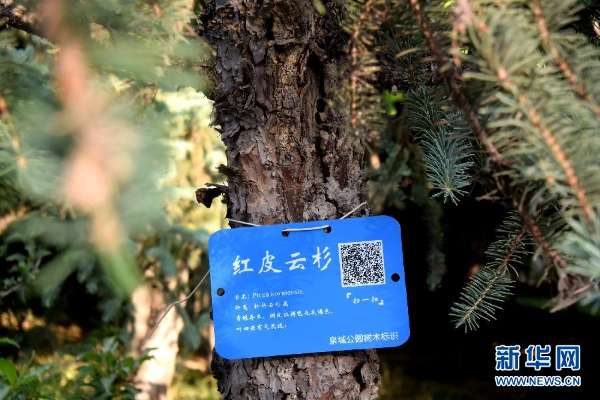 济南泉城公园植物有了新身份证