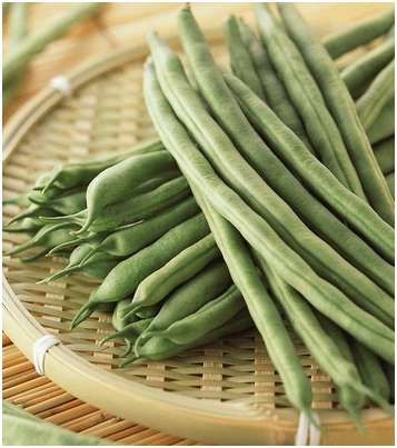 食药监总局未烧熟菜豆中毒增多应加热至无生绿色