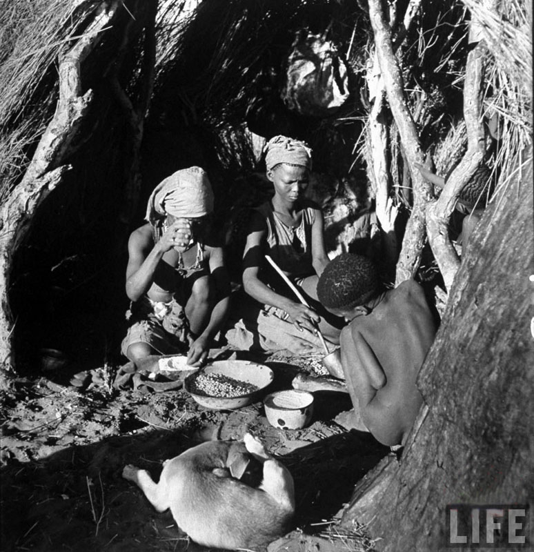 1947年博茨瓦纳土著人的原始生活[高清组图]