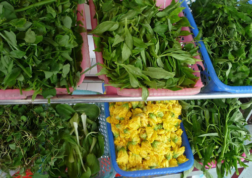 海南保亭七仙岭的仙人约会