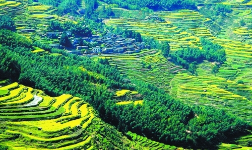 春天里倾听梯田的声音