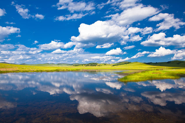 丰宁坝上高原天高地阔草肥花艳