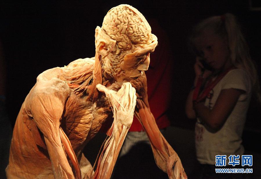 的奥斯坦德举办的现代木乃伊技术人体解剖展上,游客观看"思想者"标本