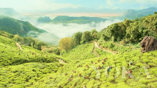 跟着少年pi旅行四大奇幻拍摄地