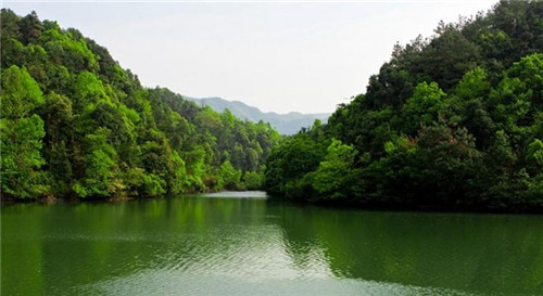 南陵小格里的野风景 别有天地非人间_安徽频道_凤凰网