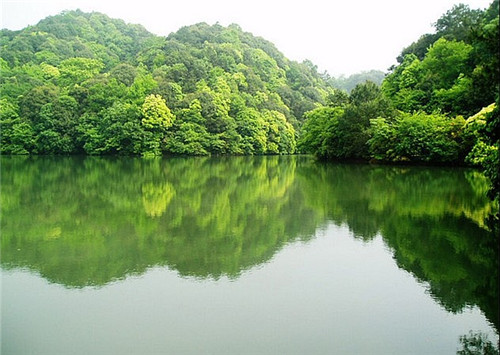 南陵小格里的野风景 别有天地非人间