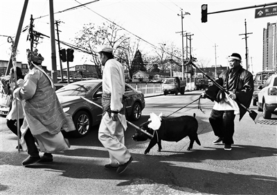 推销人员扮唐僧师徒 牵猪在街头推销"二师兄"(图)[关闭讨论](回复:2