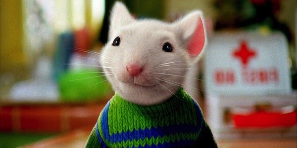 《精灵鼠小弟》要拍第四部 小白鼠斯图尔特重现银幕